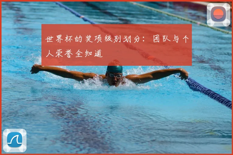 世界杯的奖项级别划分：团队与个人荣誉全知道