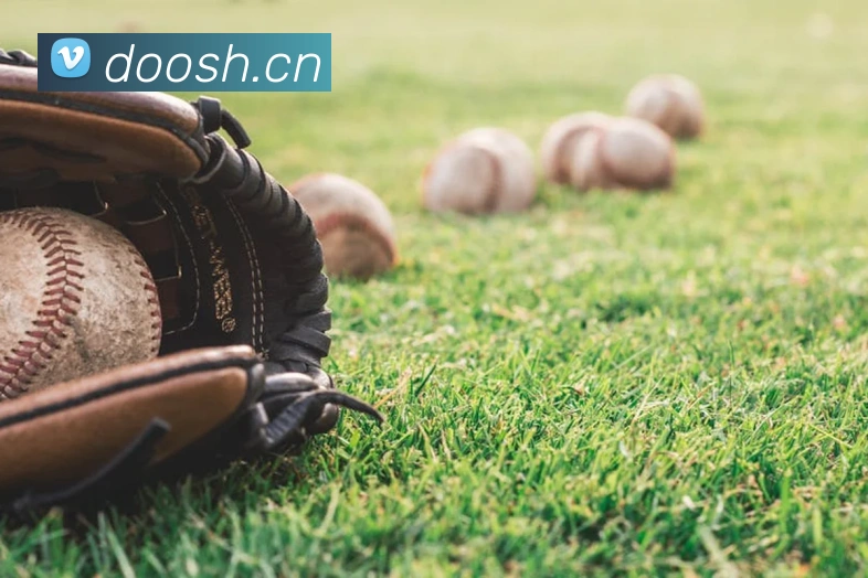 开云kaiyun网页版快速登录平台生态图