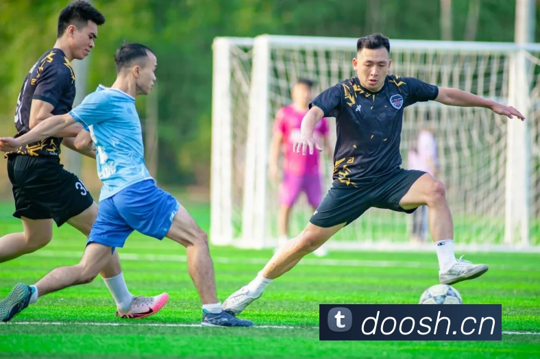 数据防护可视化